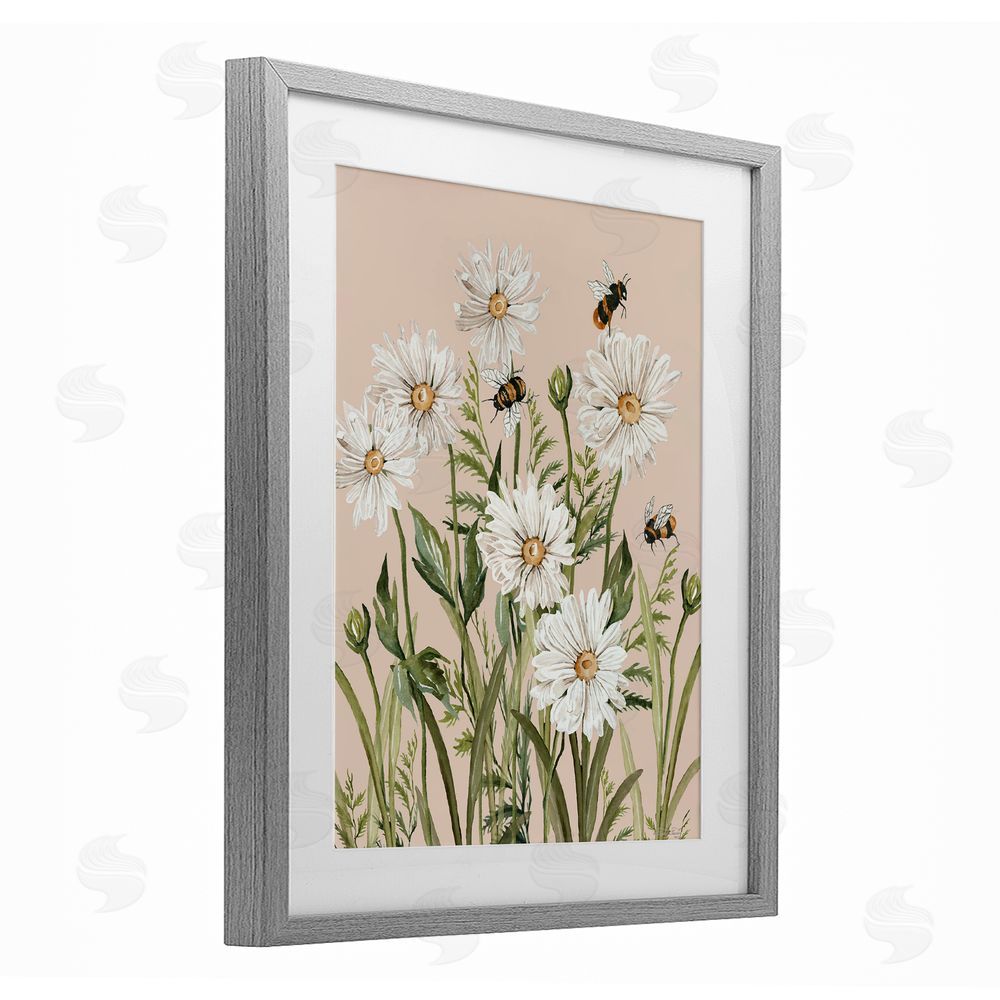 Cindy Jacobs Bees Among White Daisy Blooms Gray Framed Print Under Glass Wall Art