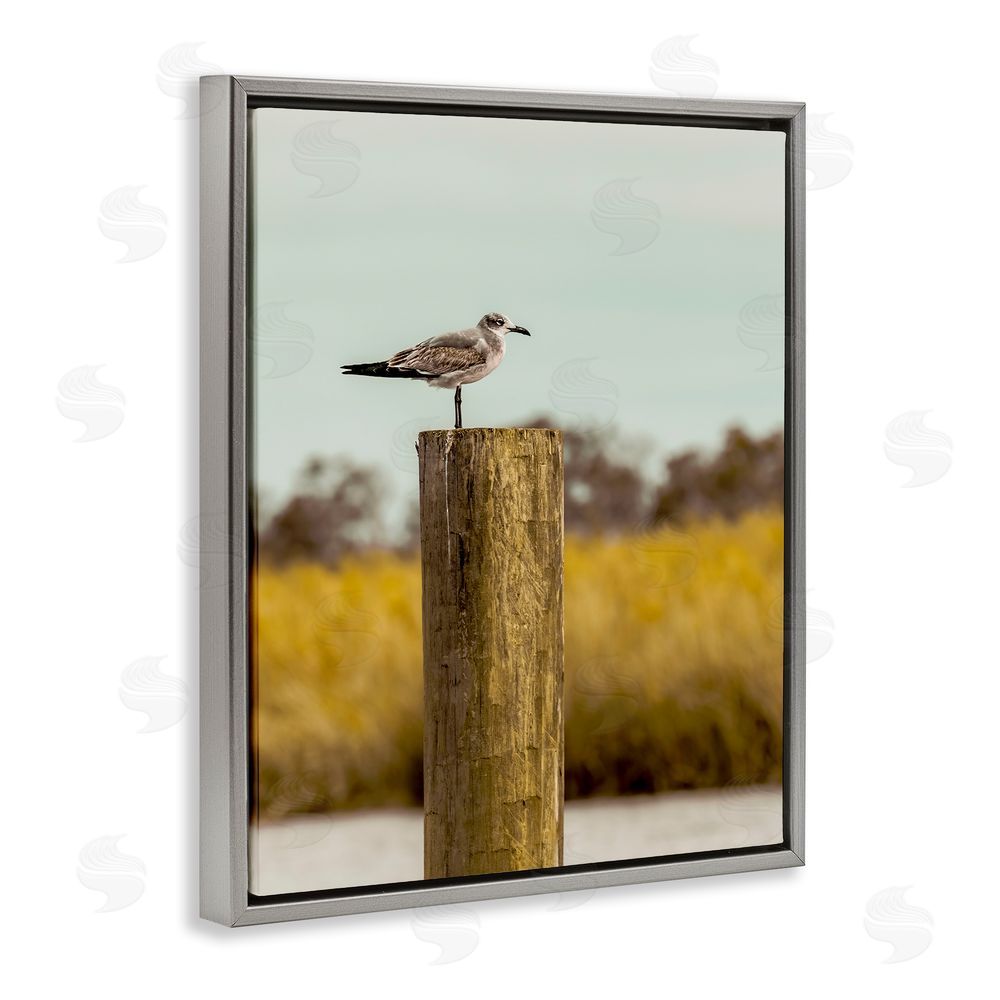 Christy Berry Gull On Piling Gray Floating Frame Canvas Wall Art Print
