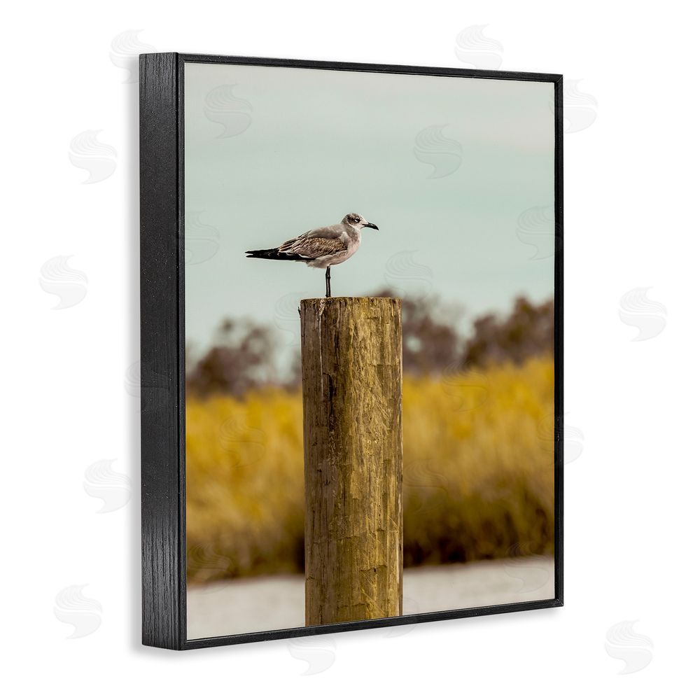 Christy Berry Gull On Piling Black Framed Giclee Wall Art Print