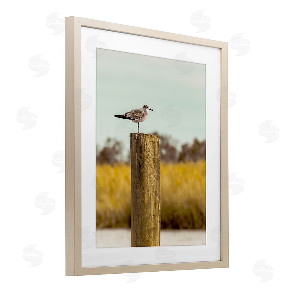 Christy Berry Gull On Piling Brown Framed Print Under Glass Wall Art