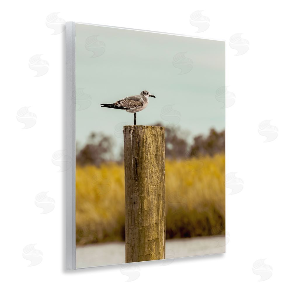 Christy Berry Gull On Piling Wooden Wall Plaque Art Print