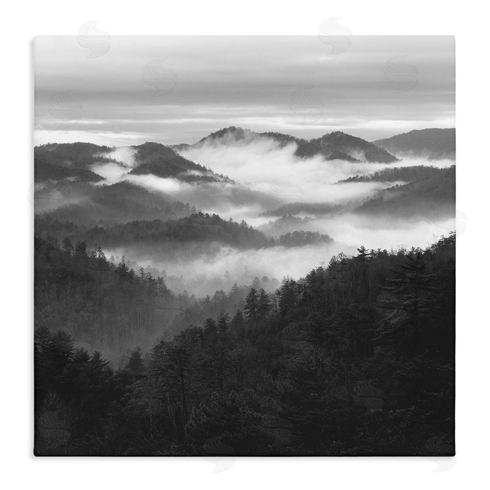 Nicholas Bell Smoky Mountains Forest Stretched Canvas Wall Art Print
