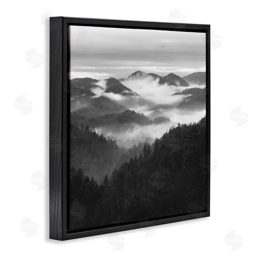 Nicholas Bell Smoky Mountains Forest Black Floating Frame Canvas Wall Art Print