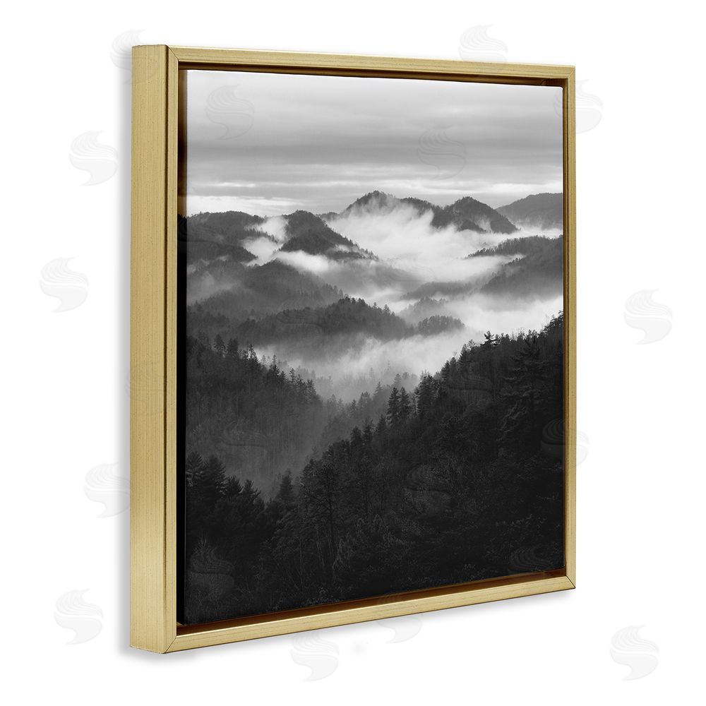 Nicholas Bell Smoky Mountains Forest Gold Floating Frame Canvas Wall Art Print