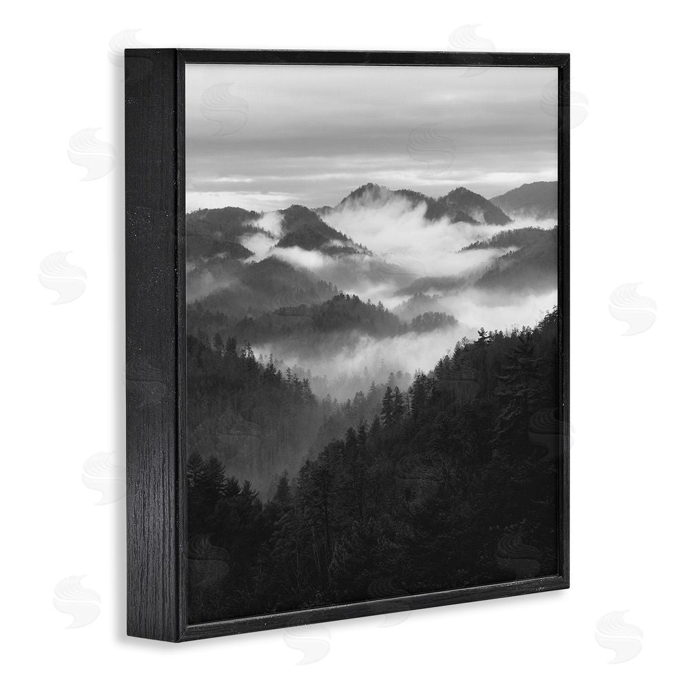 Nicholas Bell Smoky Mountains Forest Black Framed Giclee Wall Art Print