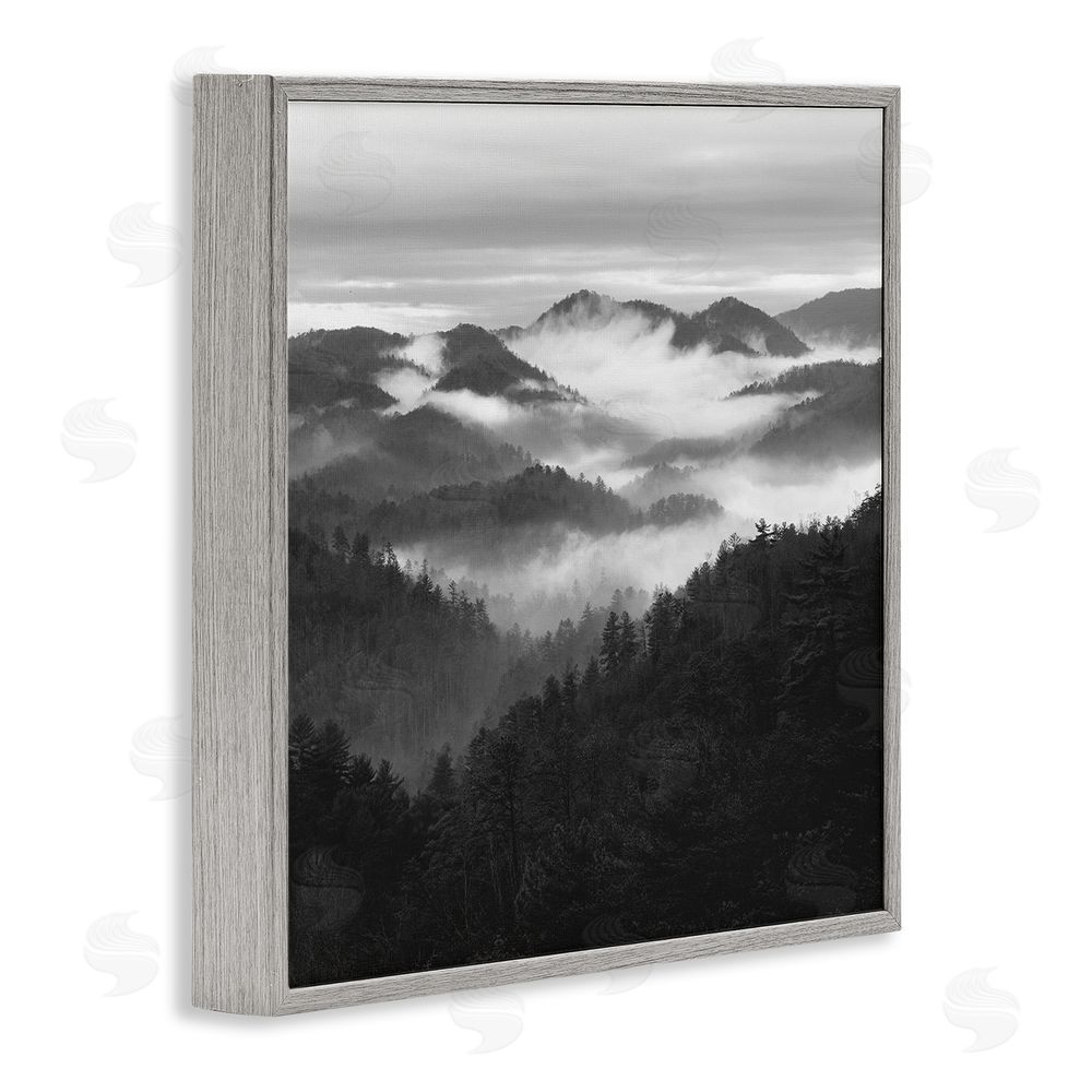 Nicholas Bell Smoky Mountains Forest Gray Framed Giclee Wall Art Print