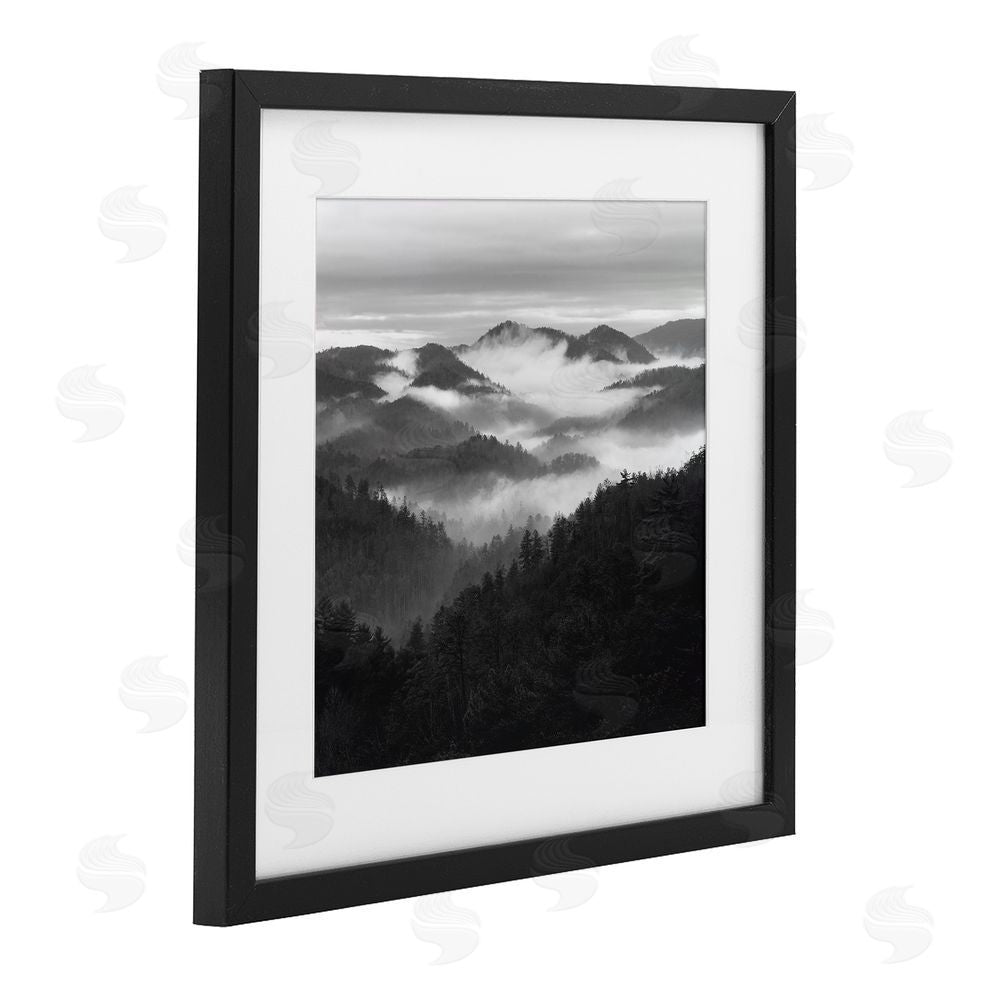 Nicholas Bell Smoky Mountains Forest Black Framed Print Under Glass Wall Art