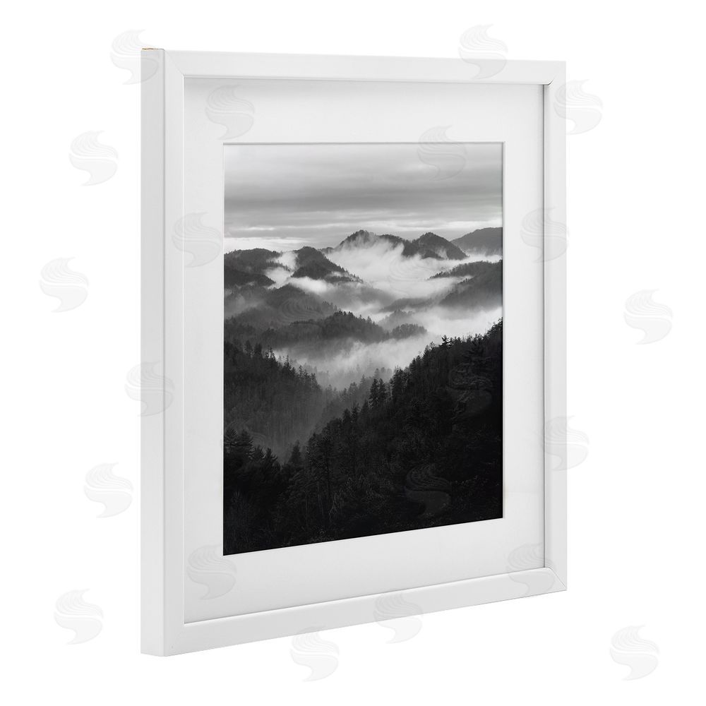 Nicholas Bell Smoky Mountains Forest White Framed Print Under Glass Wall Art