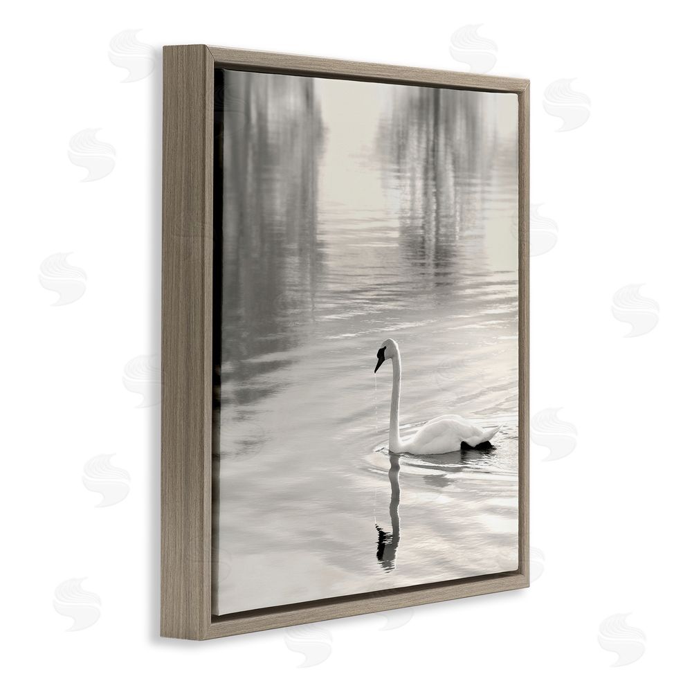 Nicholas Bell Morning Sunlit Swan Brown Floating Frame Canvas Wall Art Print