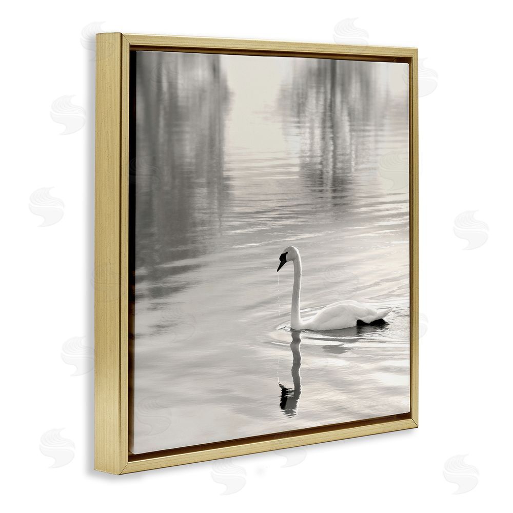 Nicholas Bell Morning Sunlit Swan Gold Floating Frame Canvas Wall Art Print