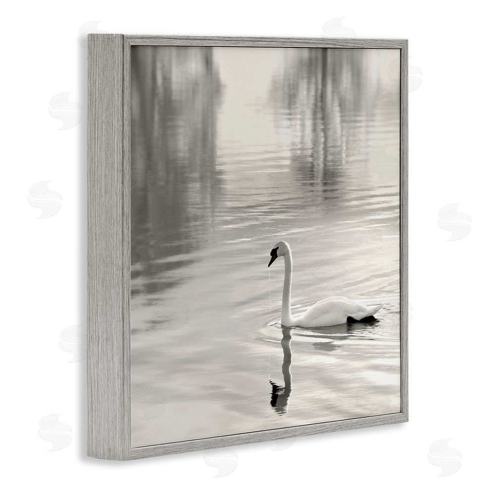 Nicholas Bell Morning Sunlit Swan Gray Framed Giclee Wall Art Print