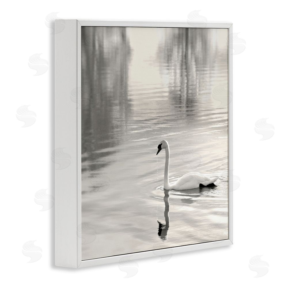 Nicholas Bell Morning Sunlit Swan White Framed Giclee Wall Art Print