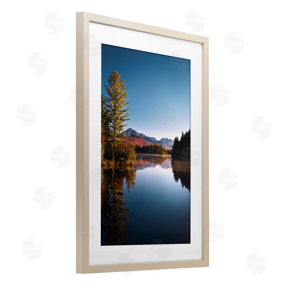 Jonathan Zaharek Autumn Morning Wilderness Brown Framed Print Under Glass Wall Art