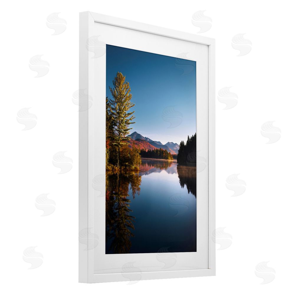Jonathan Zaharek Autumn Morning Wilderness White Framed Print Under Glass Wall Art