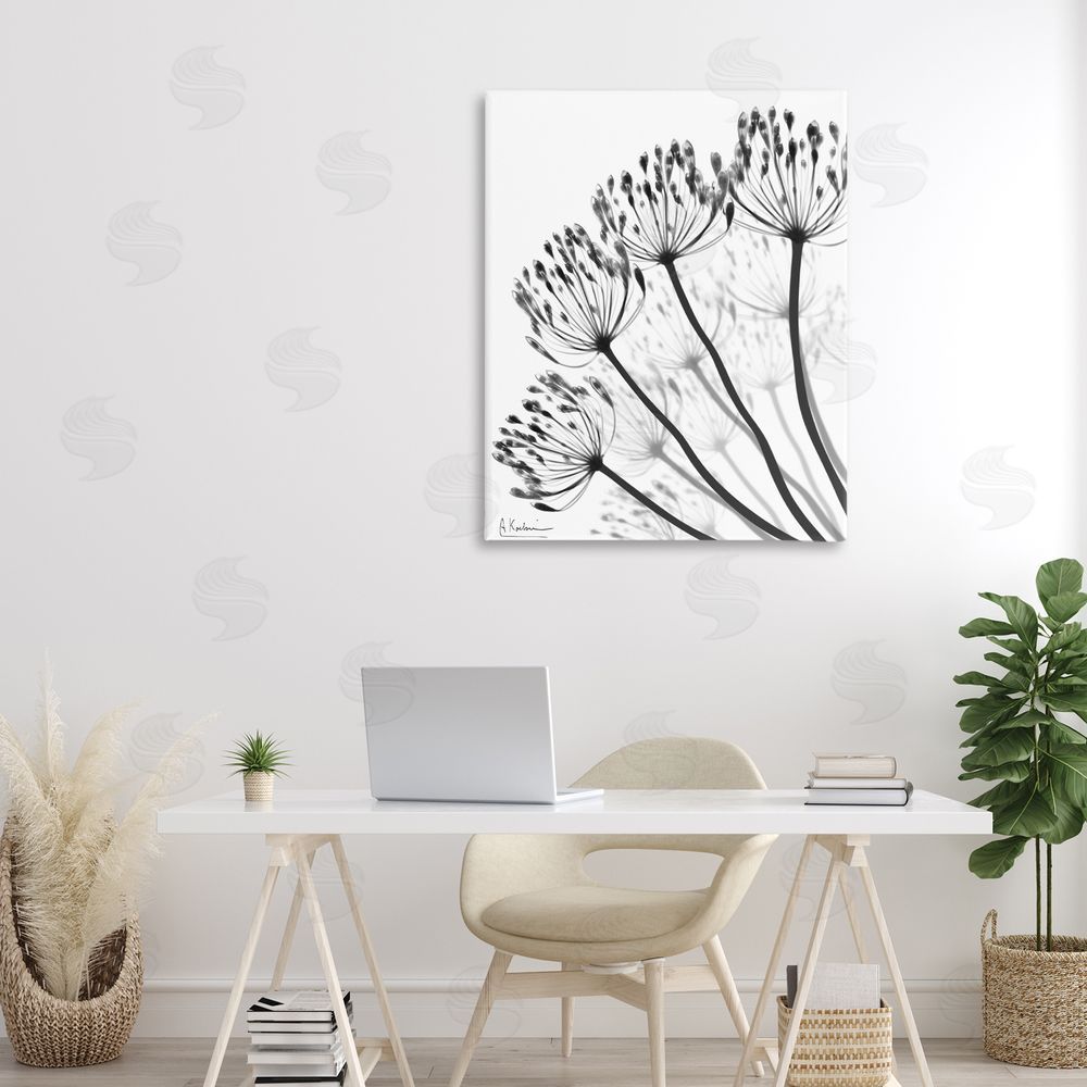 Albert Koetsier Floral Fan Dandelions