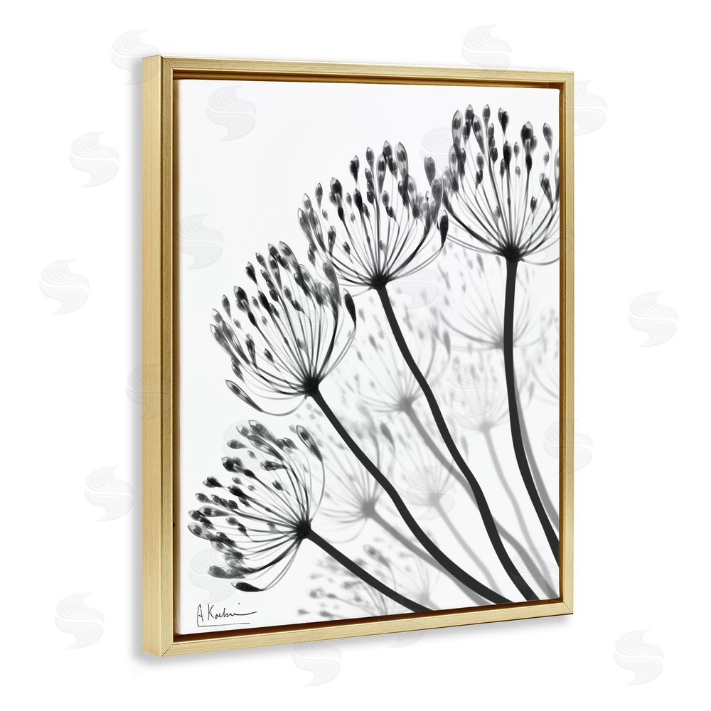 Albert Koetsier Floral Fan Dandelions Gold Floating Frame Canvas Wall Art Print