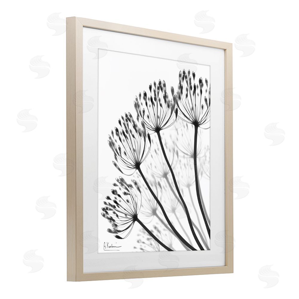 Albert Koetsier Floral Fan Dandelions Brown Framed Print Under Glass Wall Art