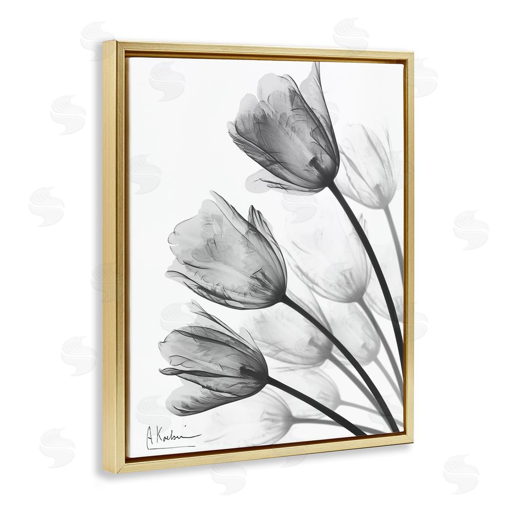 Albert Koetsier Minimalist Tulip Fan Gold Floating Frame Canvas Wall Art Print