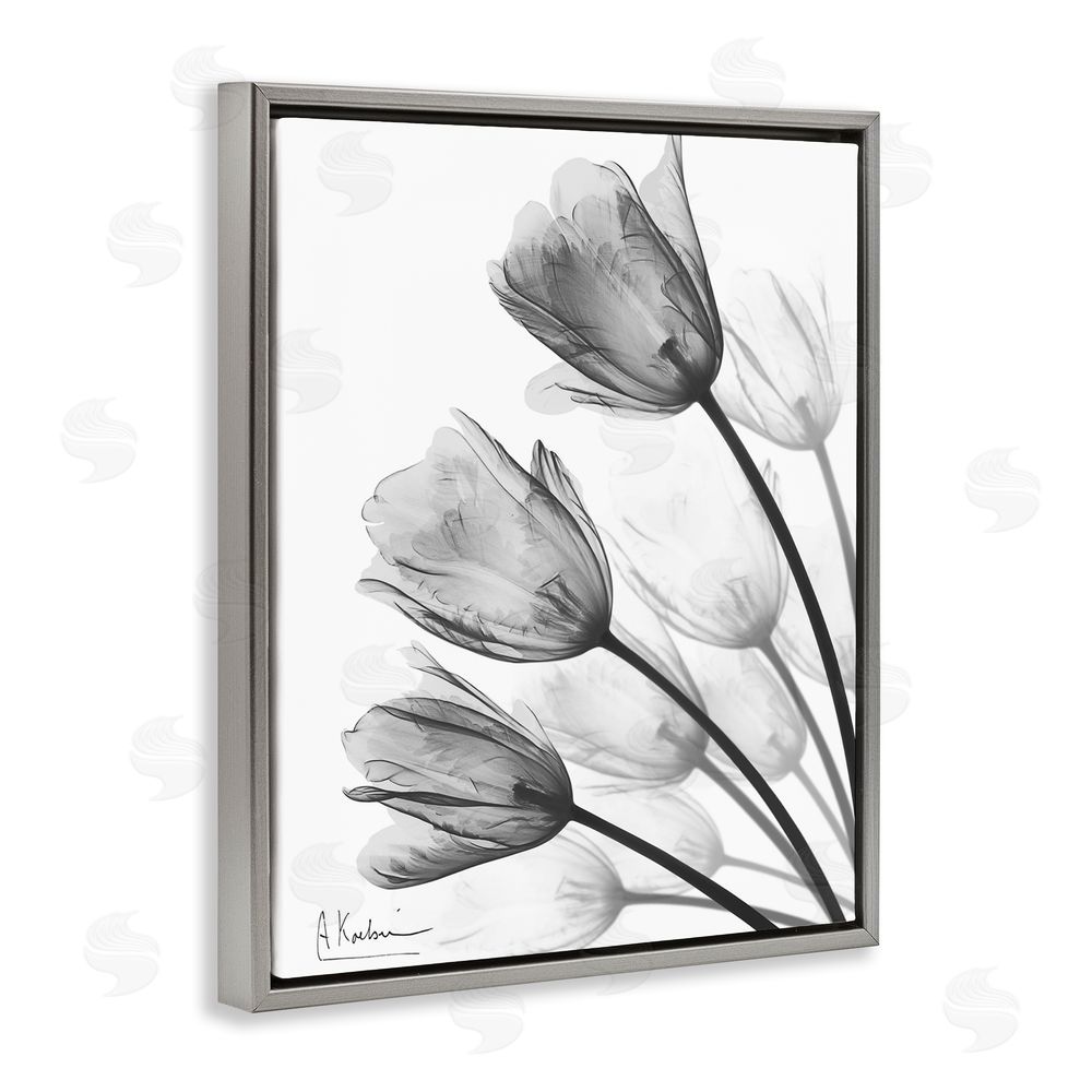 Albert Koetsier Minimalist Tulip Fan Gray Floating Frame Canvas Wall Art Print