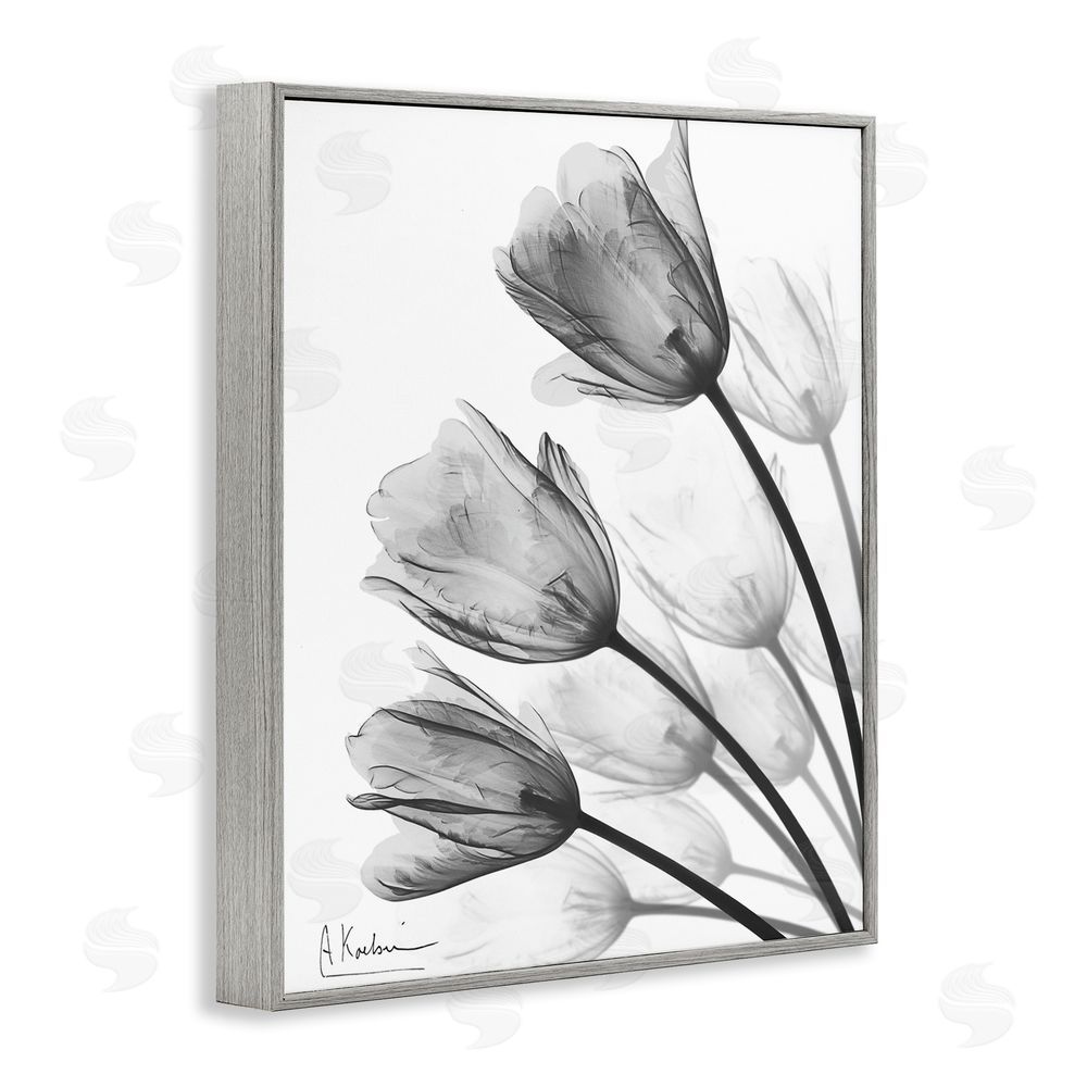 Albert Koetsier Minimalist Tulip Fan Gray Framed Giclee Wall Art Print