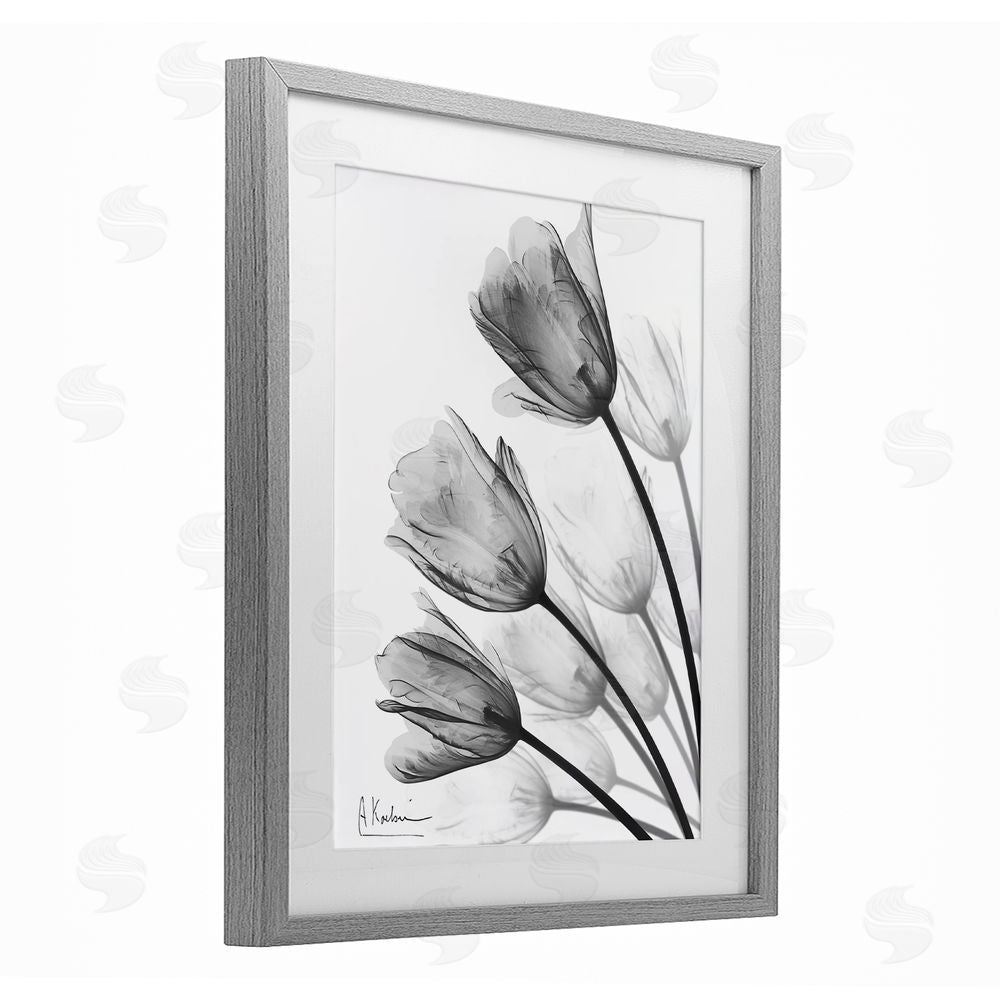 Albert Koetsier Minimalist Tulip Fan Gray Framed Print Under Glass Wall Art