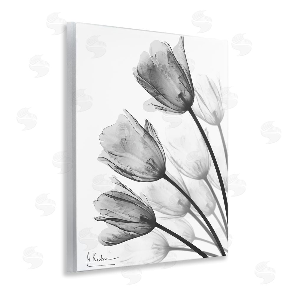 Albert Koetsier Minimalist Tulip Fan Wooden Wall Plaque Art Print