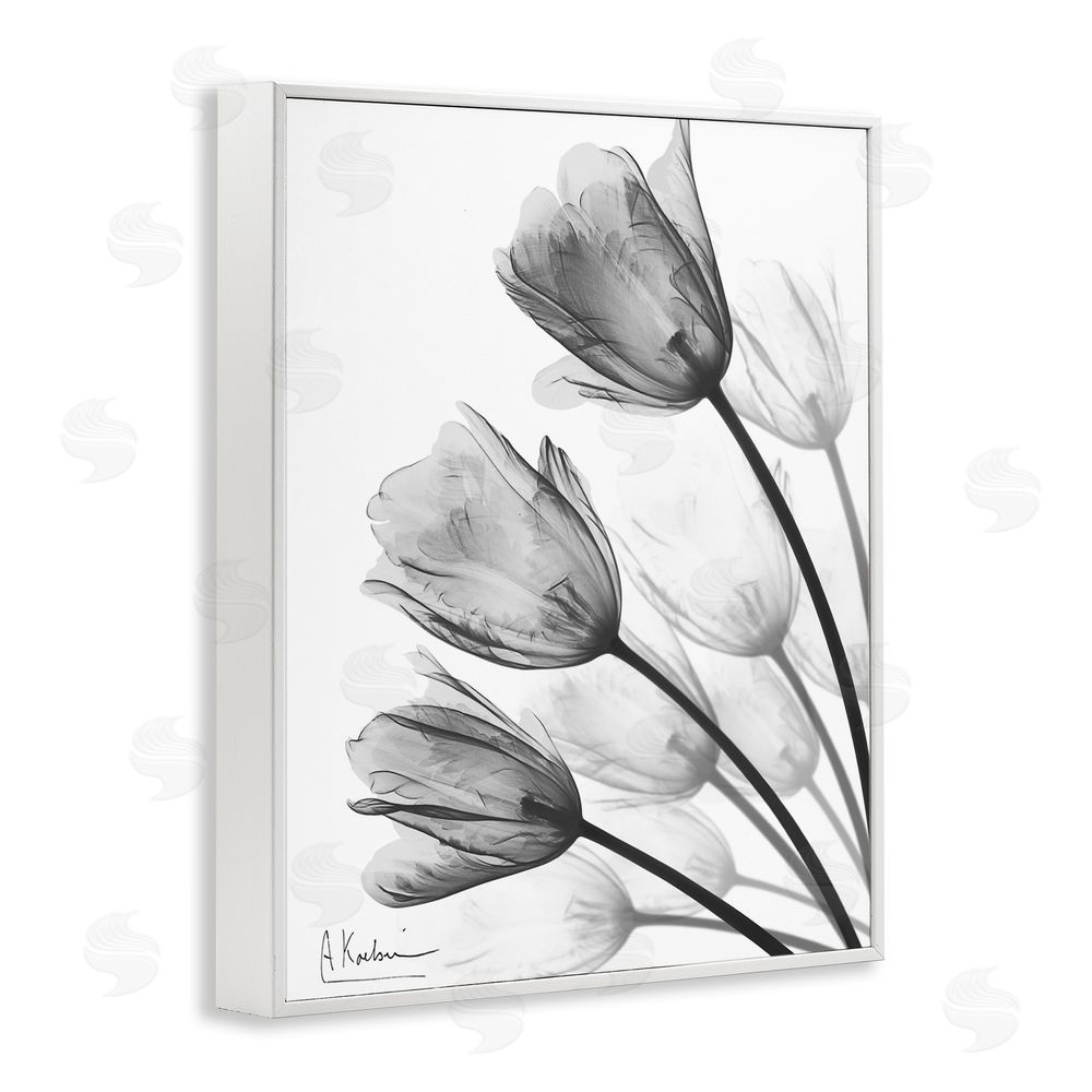 Albert Koetsier Minimalist Tulip Fan White Framed Giclee Wall Art Print