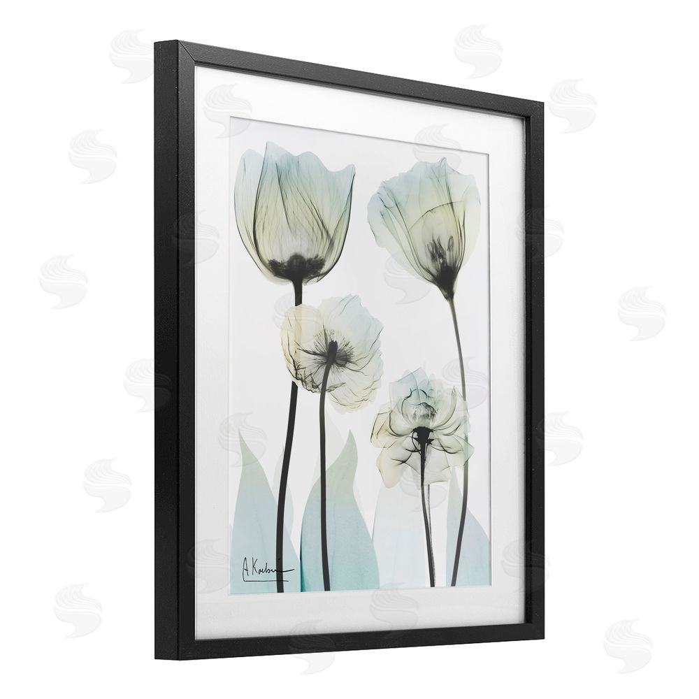 Albert Koetsier Floral Luxury Of Creation Black Framed Print Under Glass Wall Art