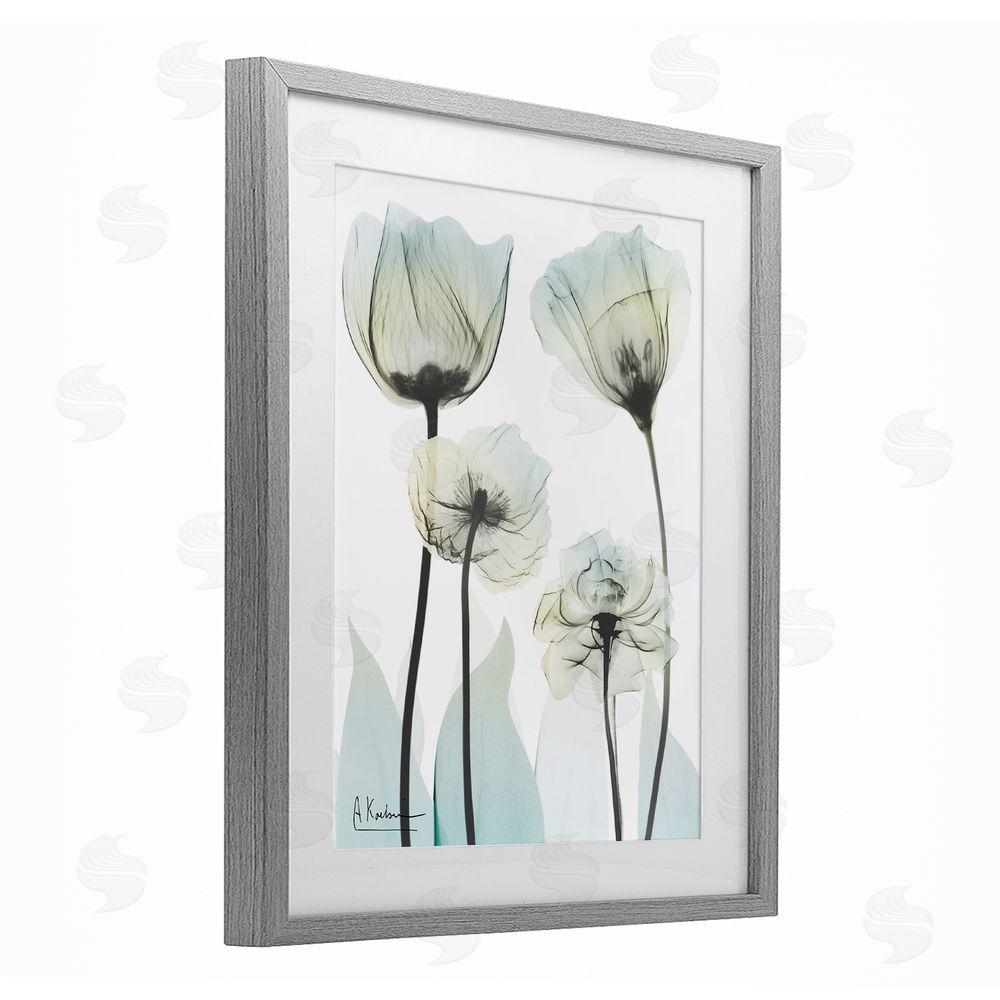 Albert Koetsier Floral Luxury Of Creation Gray Framed Print Under Glass Wall Art