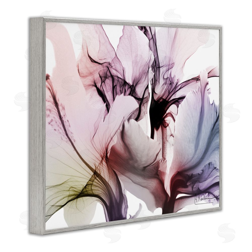 Albert Koetsier Brilliant Song Flower Petals Gray Framed Giclee Wall Art Print