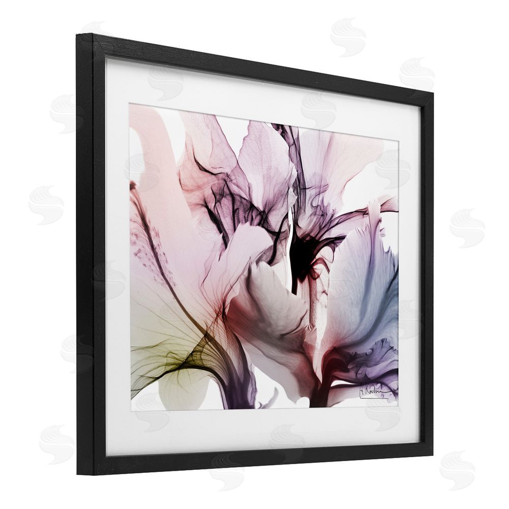 Albert Koetsier Brilliant Song Flower Petals Black Framed Print Under Glass Wall Art