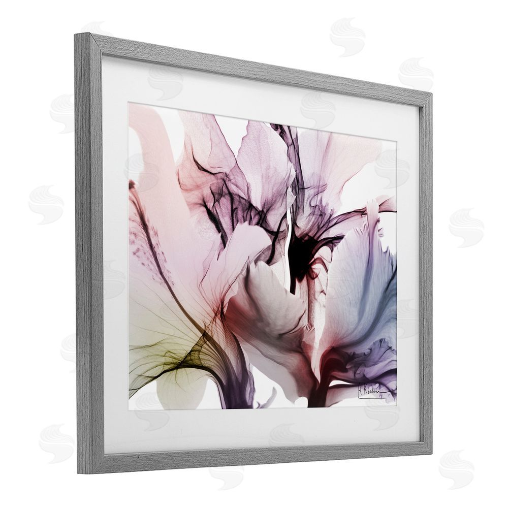 Albert Koetsier Brilliant Song Flower Petals Gray Framed Print Under Glass Wall Art