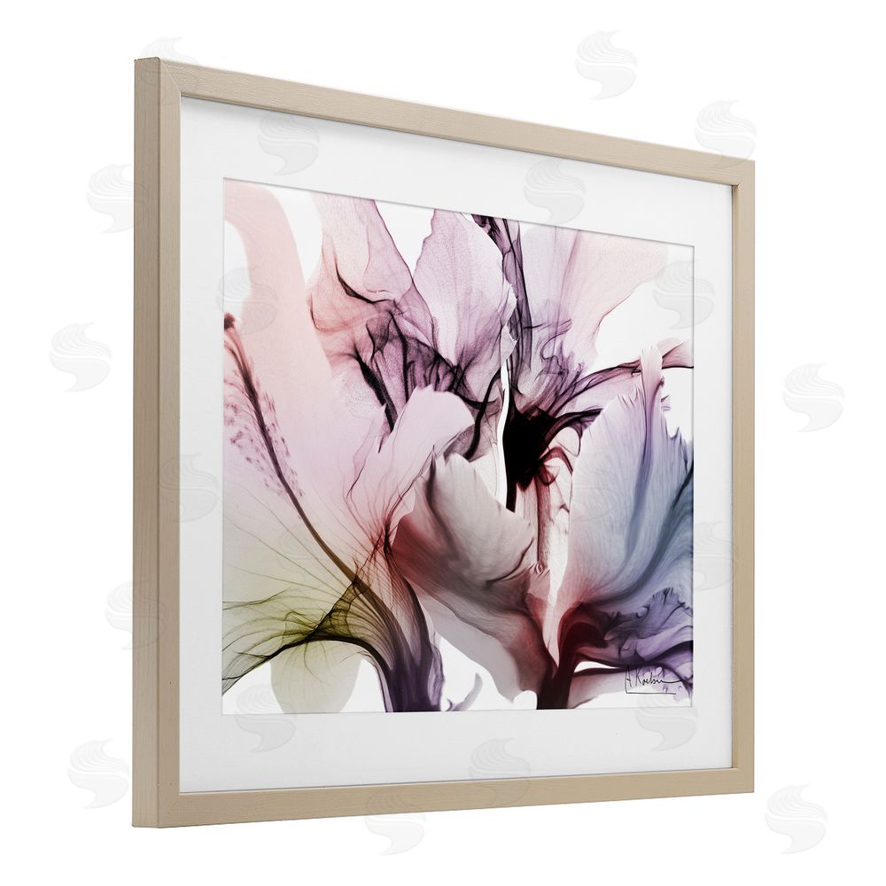 Albert Koetsier Brilliant Song Flower Petals Brown Framed Print Under Glass Wall Art