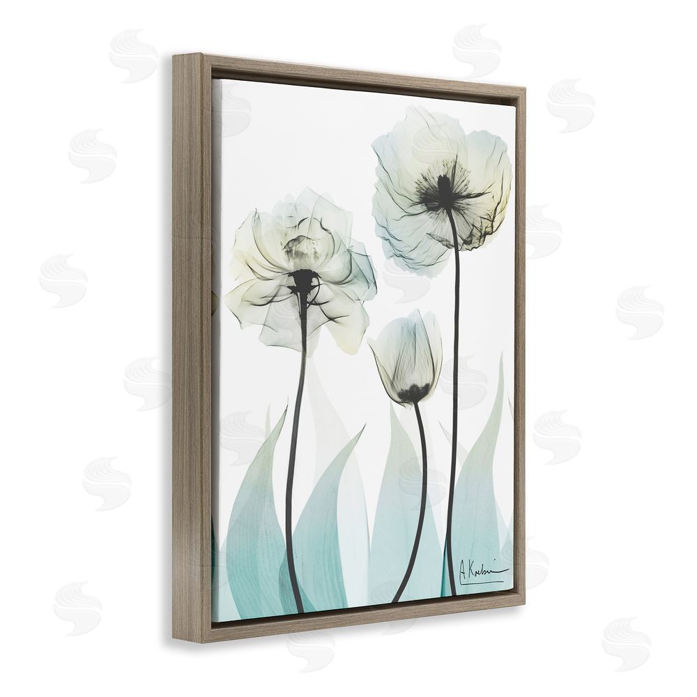 Albert Koetsier Luxury Of Creation Brown Floating Frame Canvas Wall Art Print