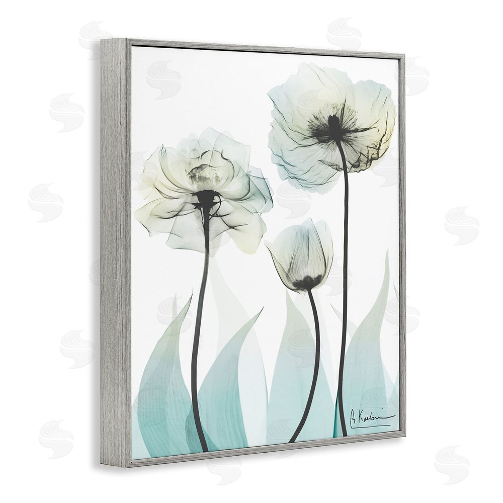 Albert Koetsier Luxury Of Creation Gray Framed Giclee Wall Art Print