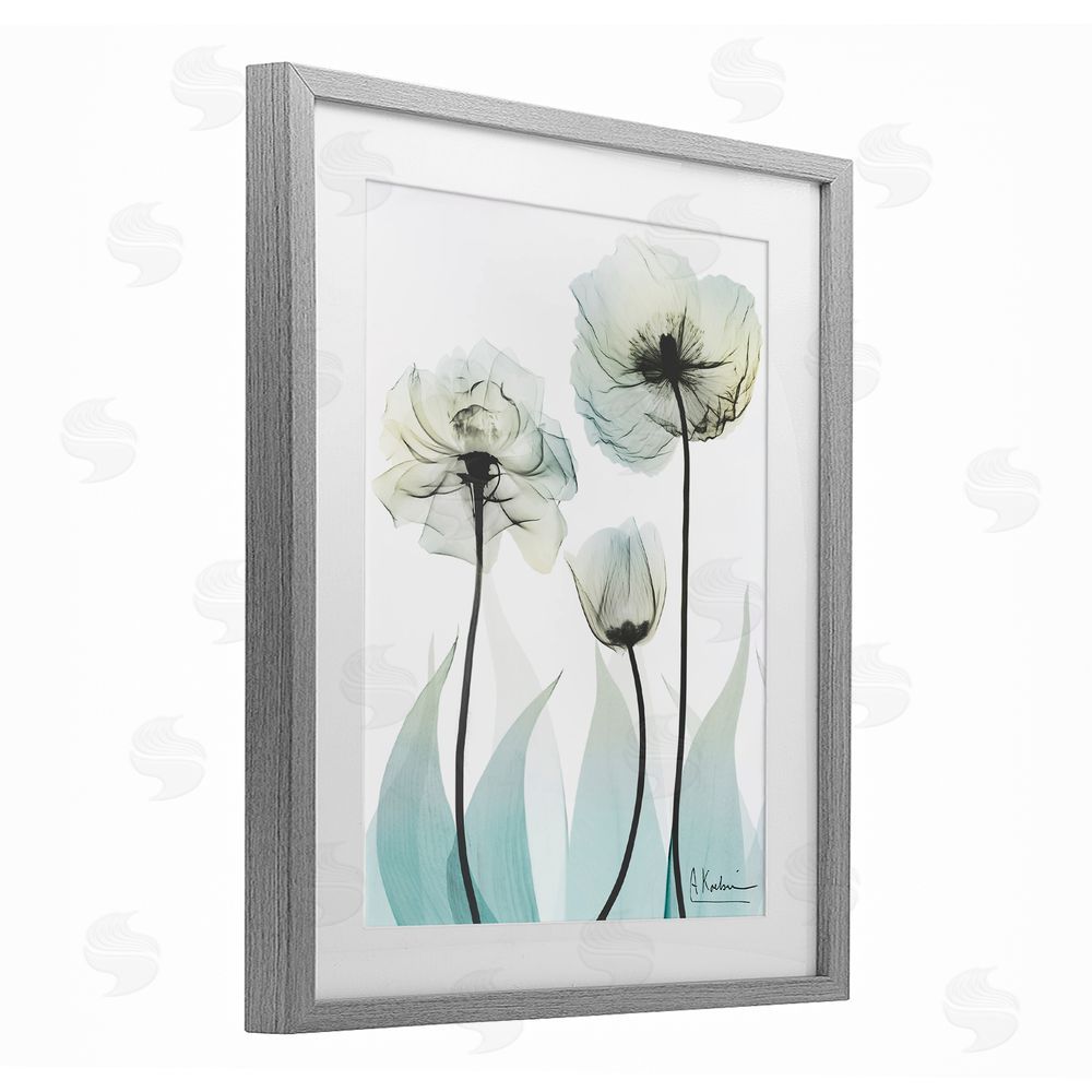 Albert Koetsier Luxury Of Creation Gray Framed Print Under Glass Wall Art
