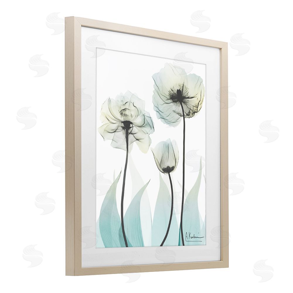 Albert Koetsier Luxury Of Creation Brown Framed Print Under Glass Wall Art