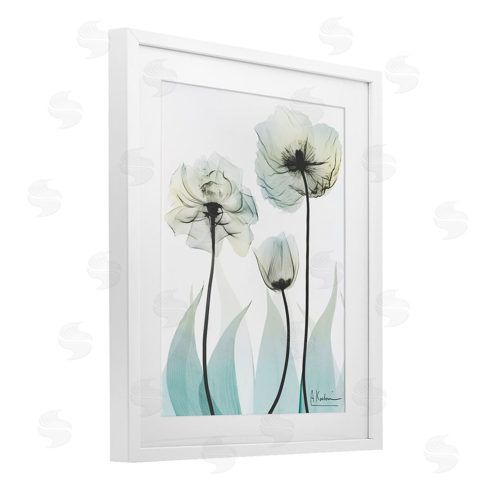 Albert Koetsier Luxury Of Creation White Framed Print Under Glass Wall Art