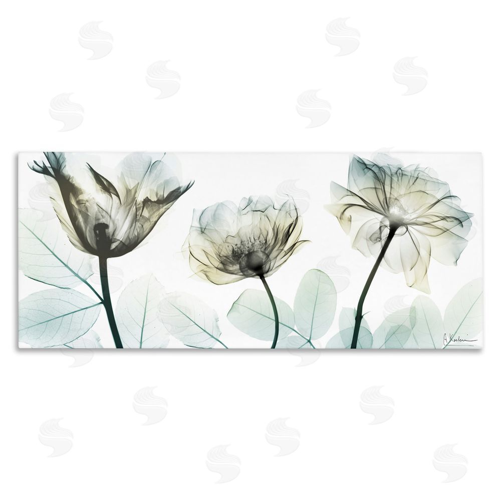Albert Koetsier Jewel of Passion Flowers Stretched Canvas Wall Art Print