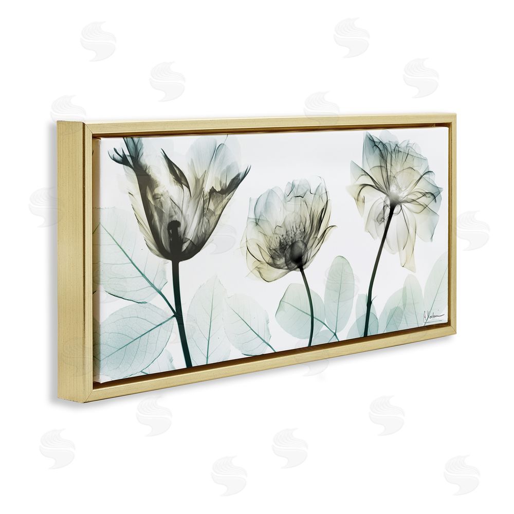 Albert Koetsier Jewel of Passion Flowers Gold Floating Frame Canvas Wall Art Print