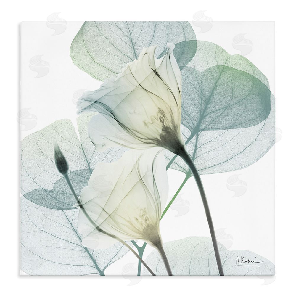 Albert Koetsier Divine Fate Petals Stretched Canvas Wall Art Print