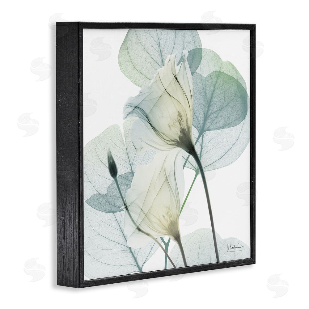 Albert Koetsier Divine Fate Petals Black Framed Giclee Wall Art Print