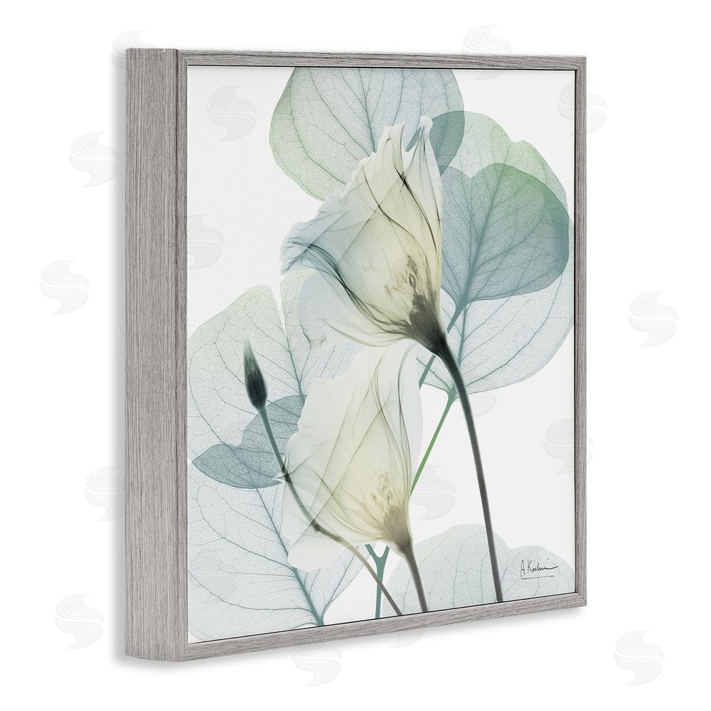 Albert Koetsier Divine Fate Petals Gray Framed Giclee Wall Art Print