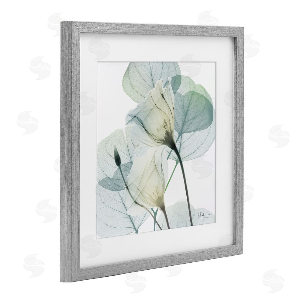 Albert Koetsier Divine Fate Petals Gray Framed Print Under Glass Wall Art