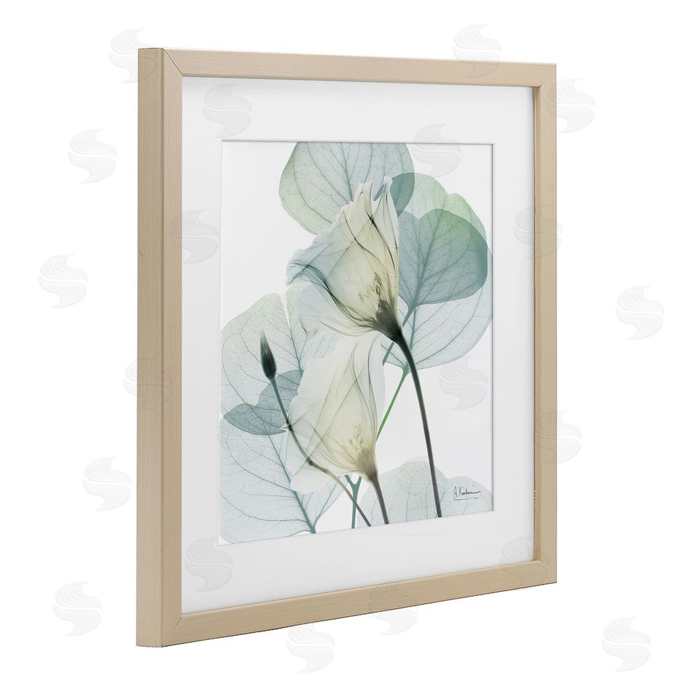Albert Koetsier Divine Fate Petals Brown Framed Print Under Glass Wall Art