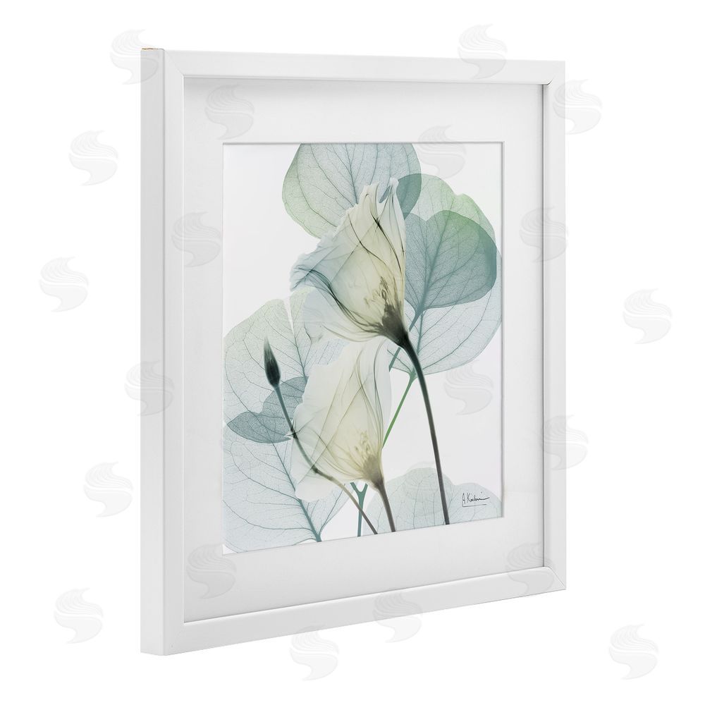 Albert Koetsier Divine Fate Petals White Framed Print Under Glass Wall Art