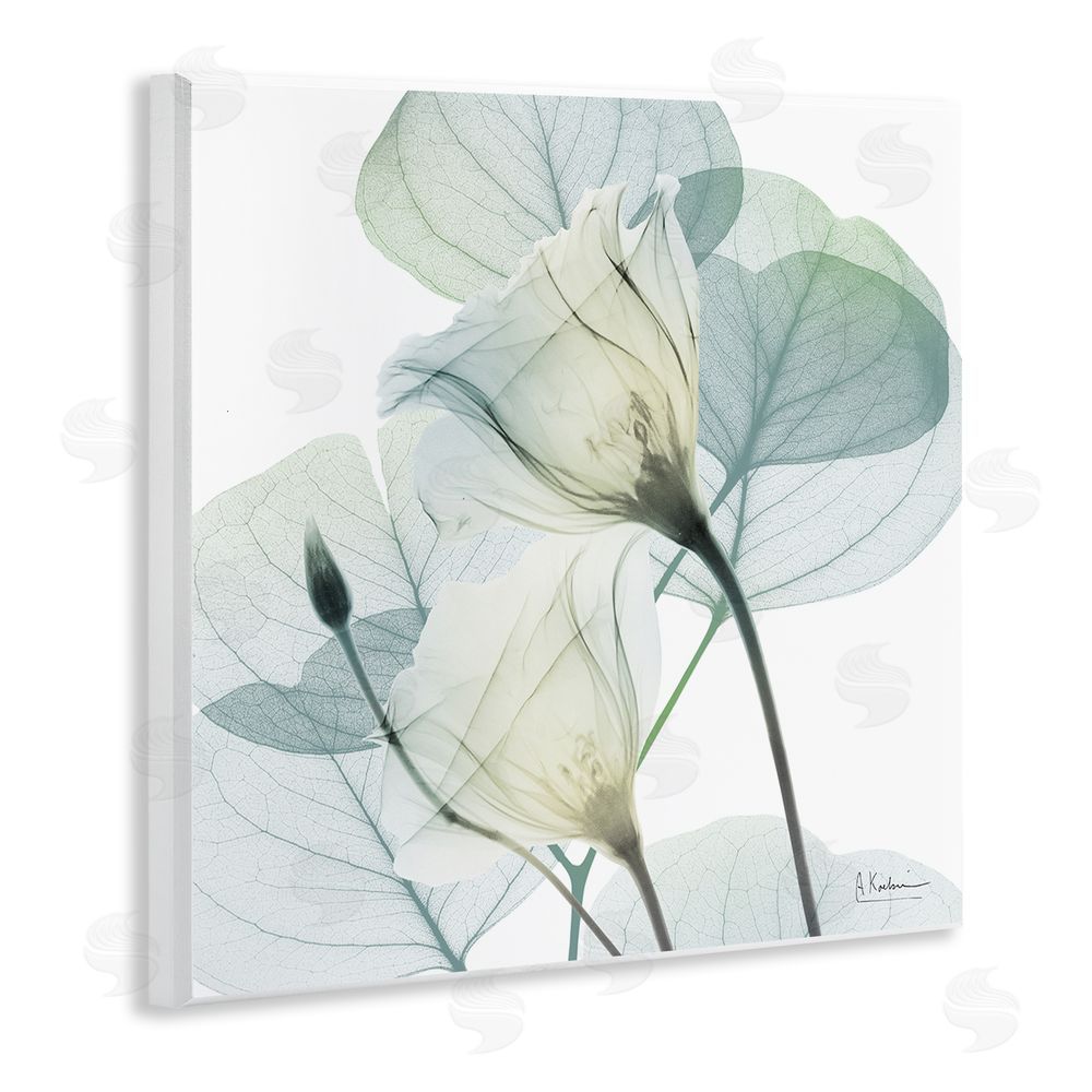 Albert Koetsier Divine Fate Petals Wooden Wall Plaque Art Print