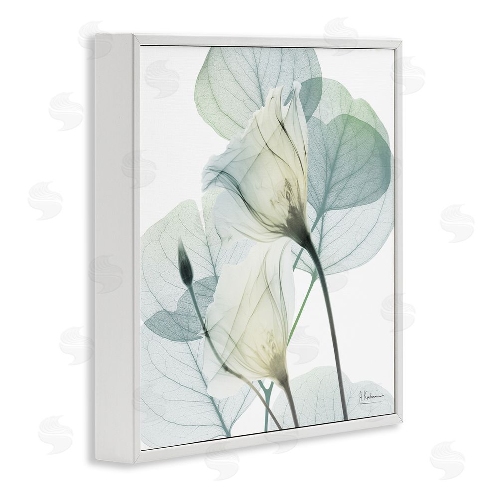 Albert Koetsier Divine Fate Petals White Framed Giclee Wall Art Print