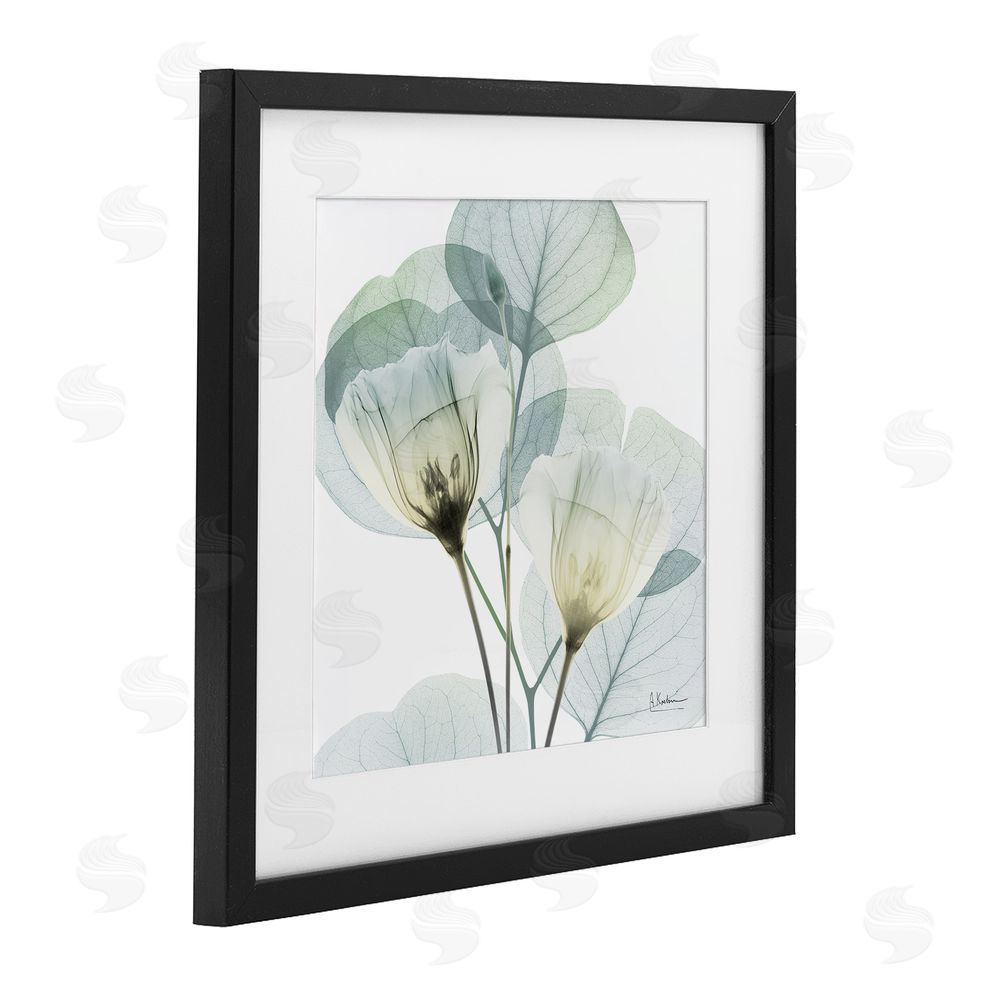 Albert Koetsier Divine Fate Flower Leaves Black Framed Print Under Glass Wall Art