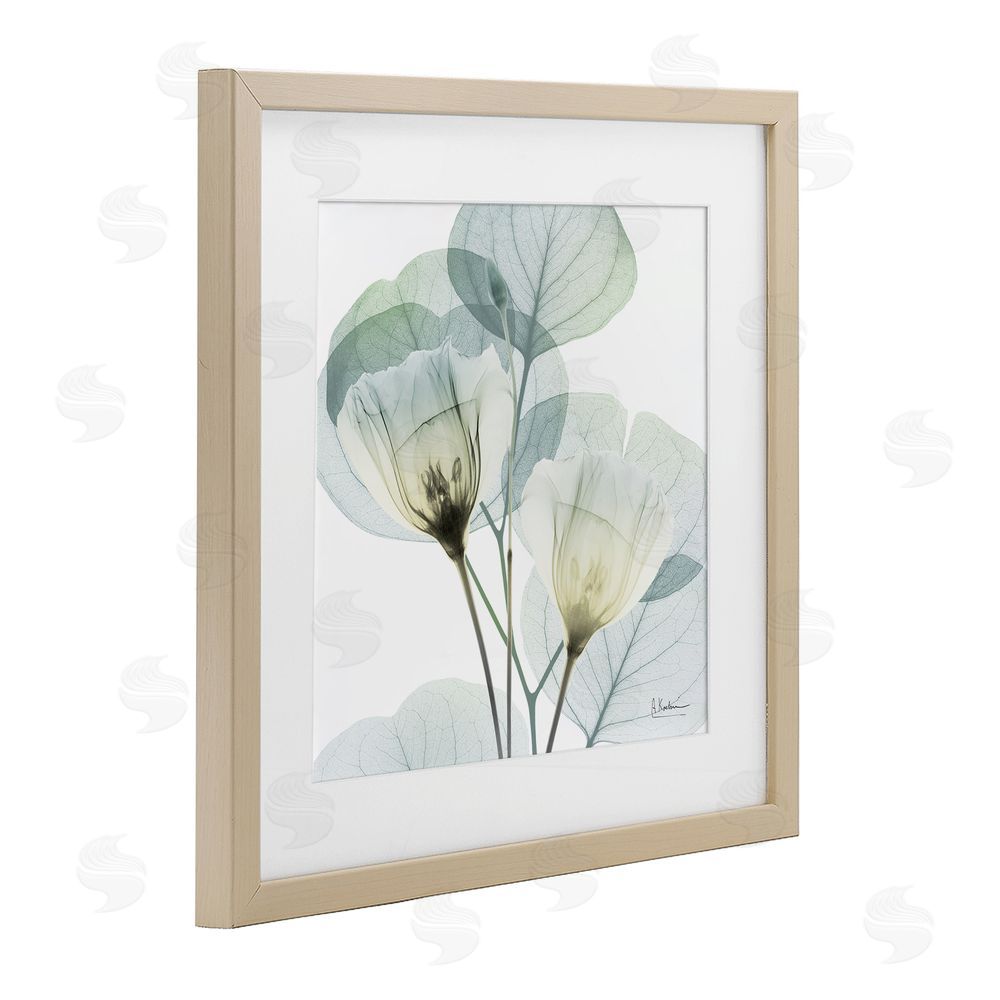 Albert Koetsier Divine Fate Flower Leaves Brown Framed Print Under Glass Wall Art